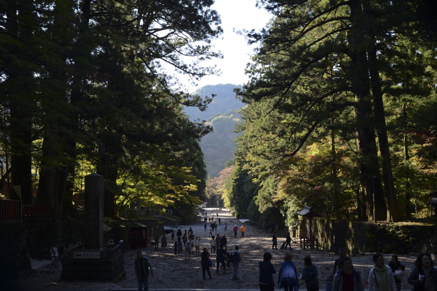 93fa8cf5_0002.jpg