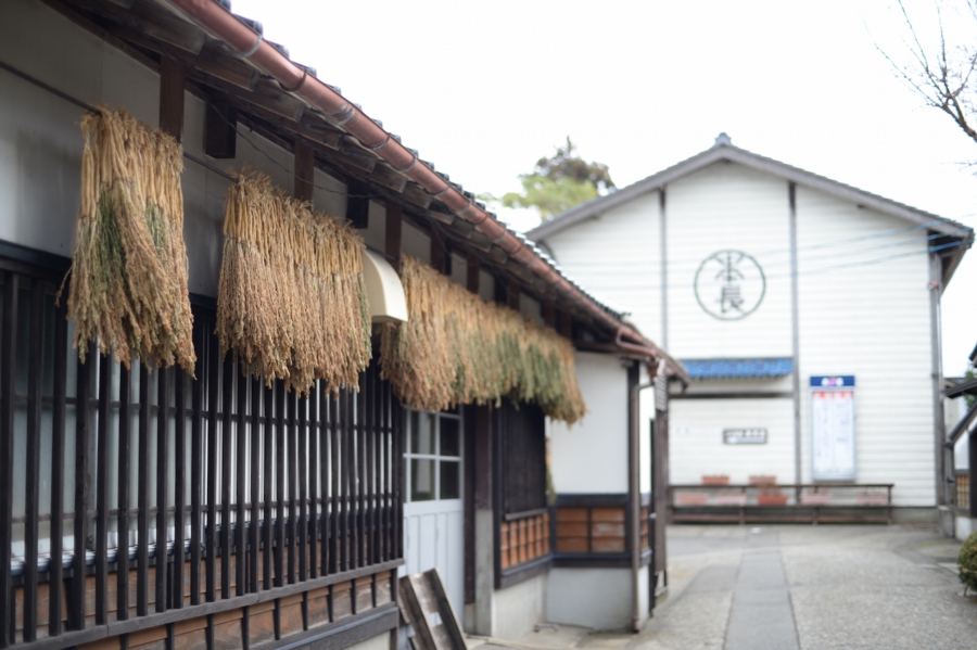 tsuruoka_0009.jpg