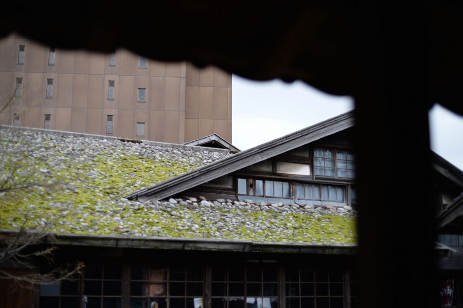 tsuruoka_0017.jpg