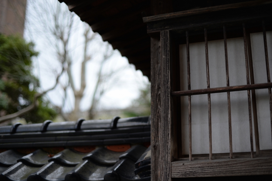 tsuruoka_0019.jpg