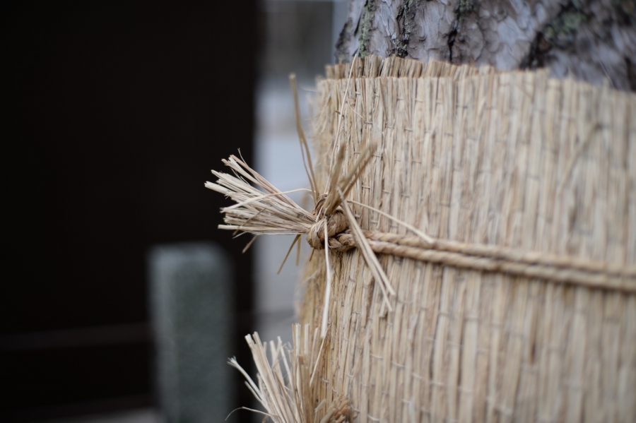 tsuruoka_0024.jpg