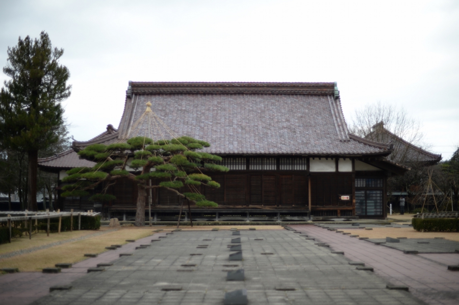 tsuruoka_0032.jpg