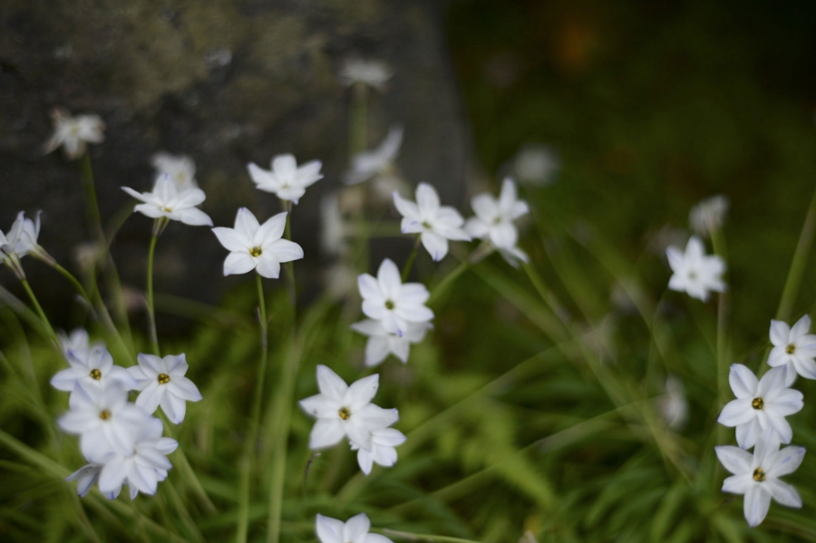 20160417_001.jpg