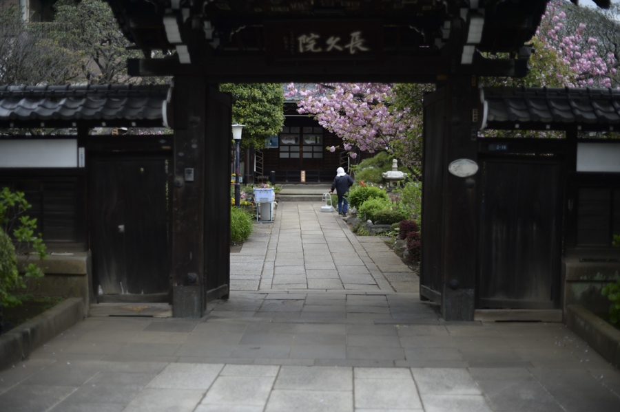 20160417_019.jpg