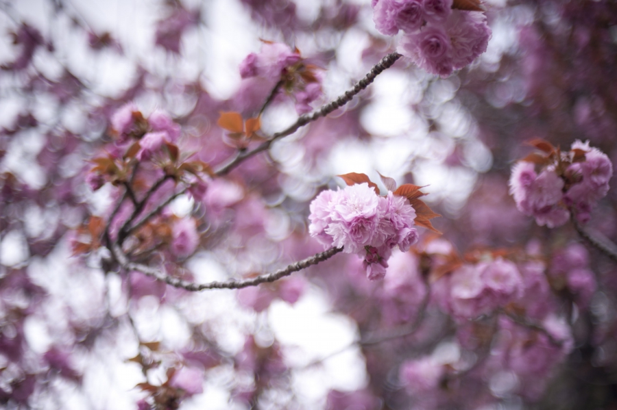 20160417_020.jpg