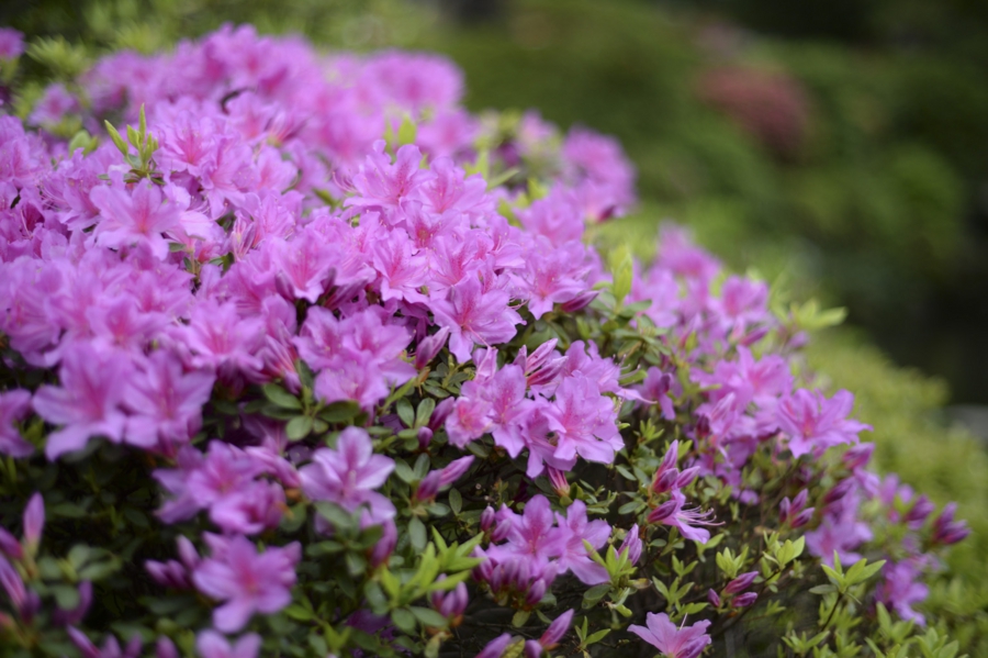 20160417_023.jpg