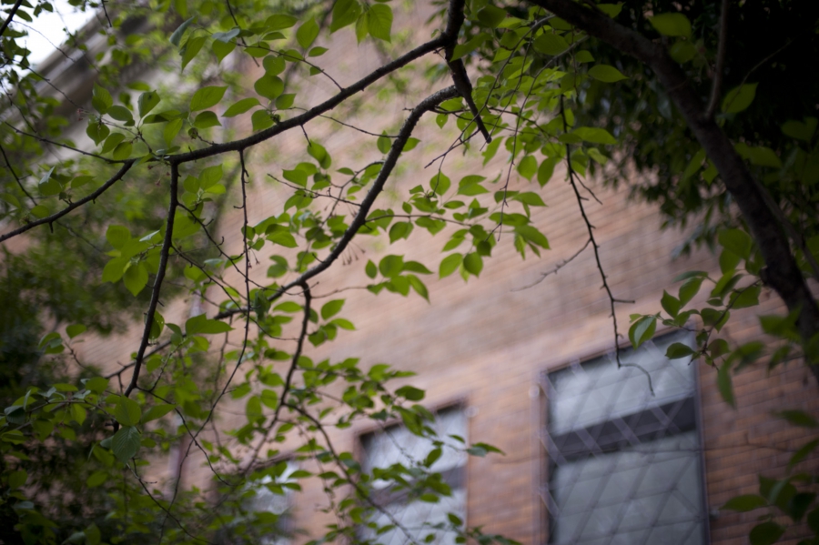 20160417_026.jpg