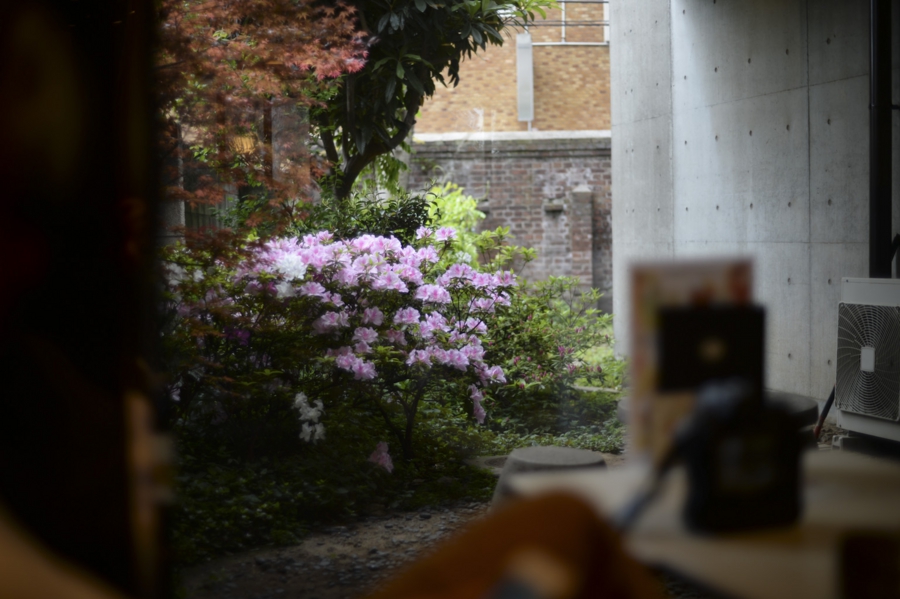 20160417_028.jpg