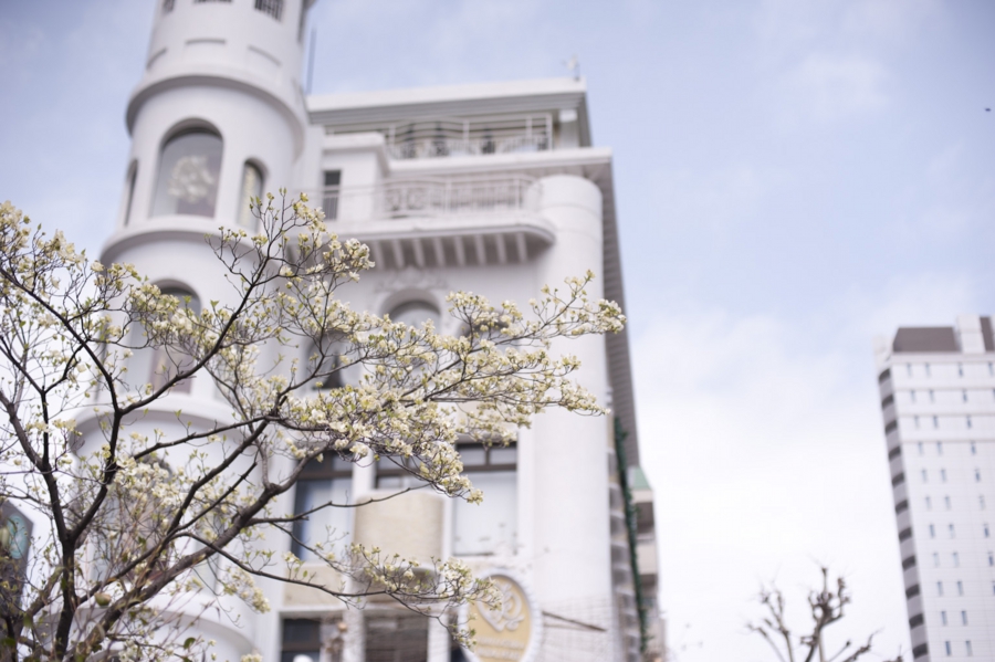 20160417_032.jpg