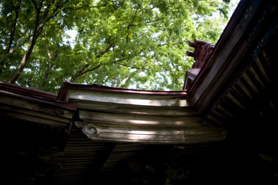 yokoe_004.jpg