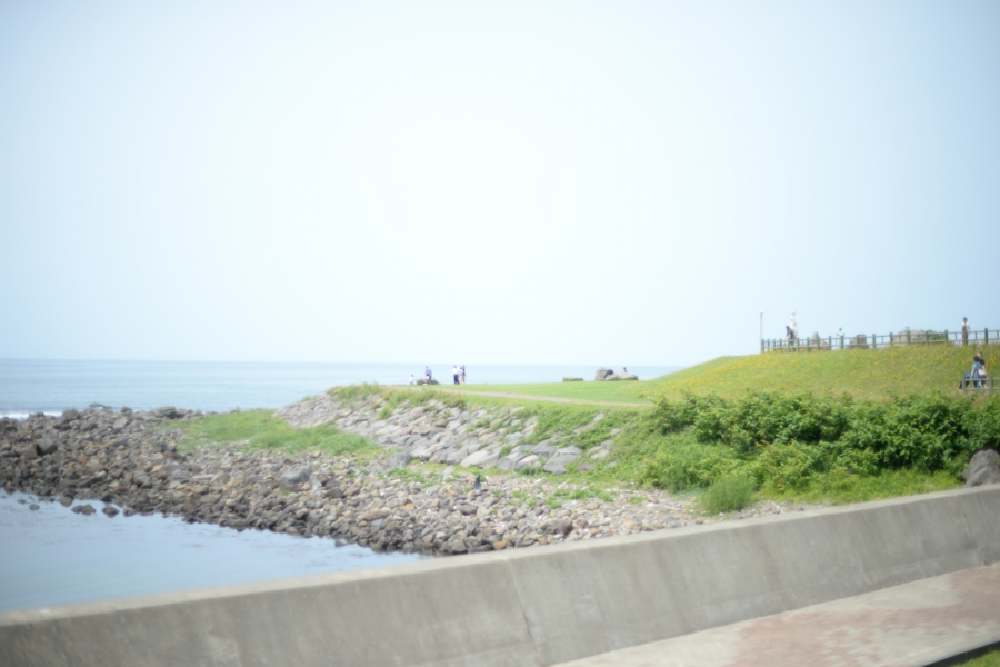 yokoe_022.jpg
