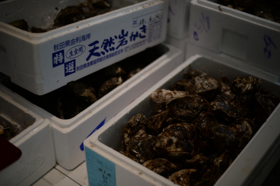 yokoe_023.jpg