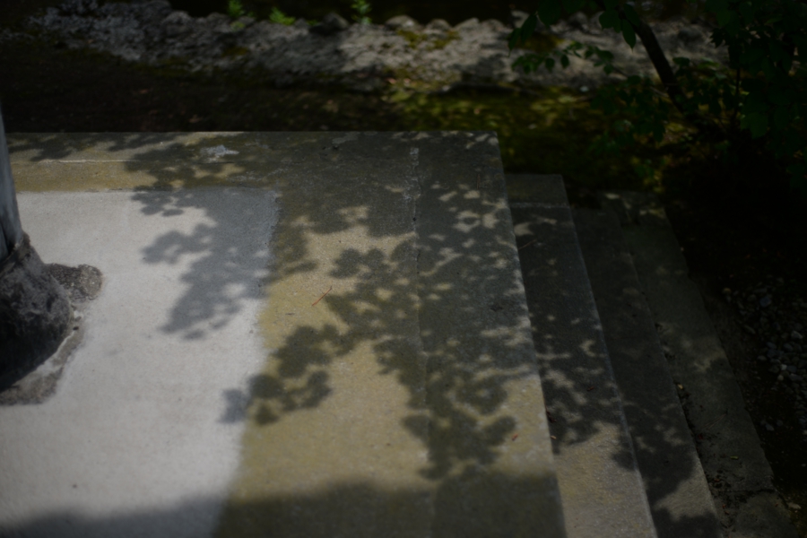 yokoe_026.jpg