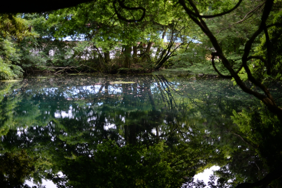 yokoe_041.jpg