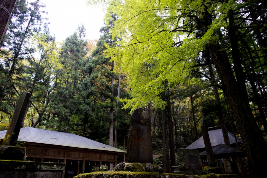 akita_002.jpg