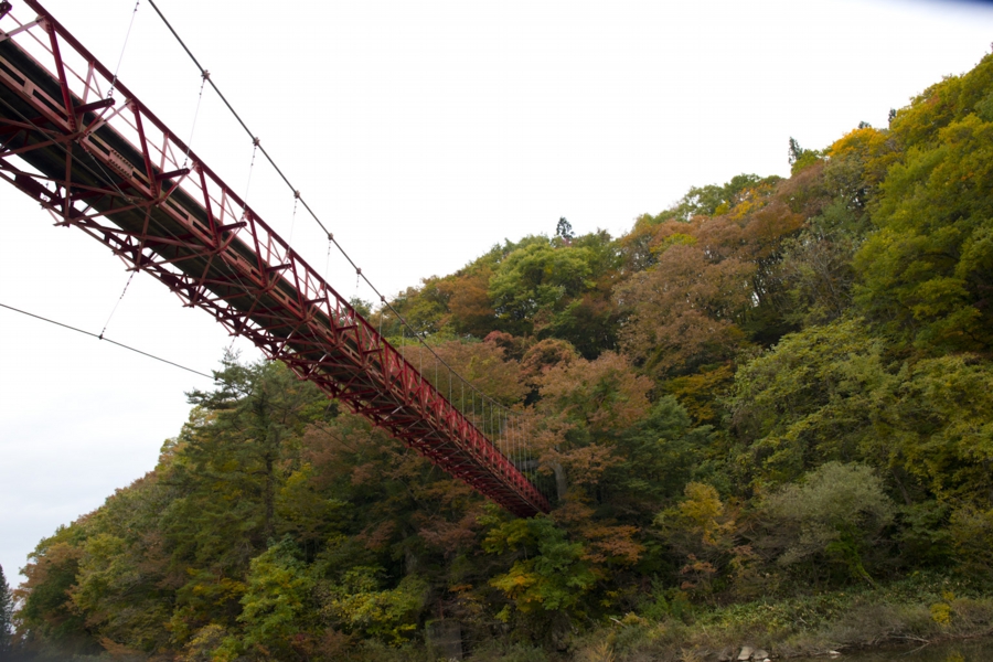 akita_005.jpg