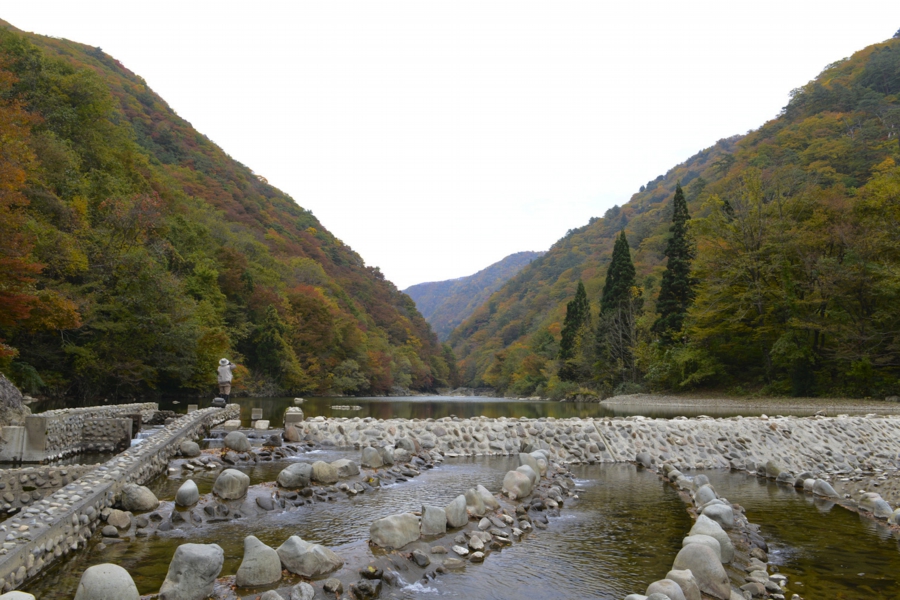 akita_007.jpg