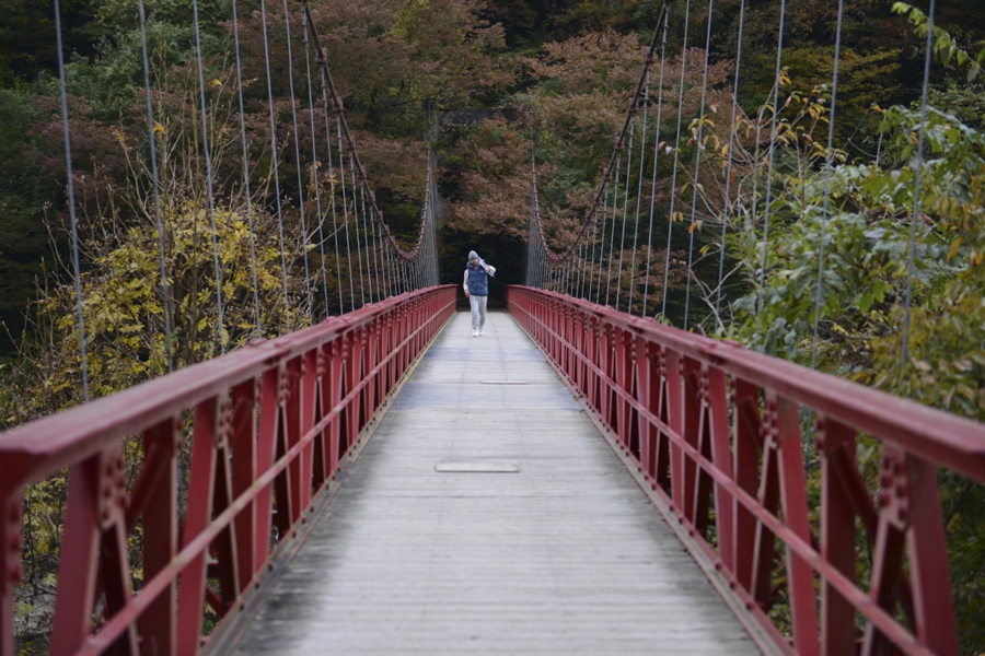 akita_008.jpg