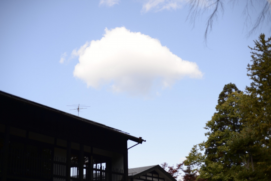akita_027.jpg