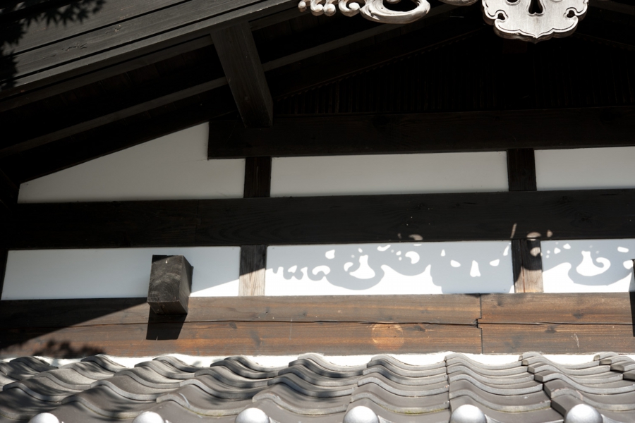 akita_031.jpg