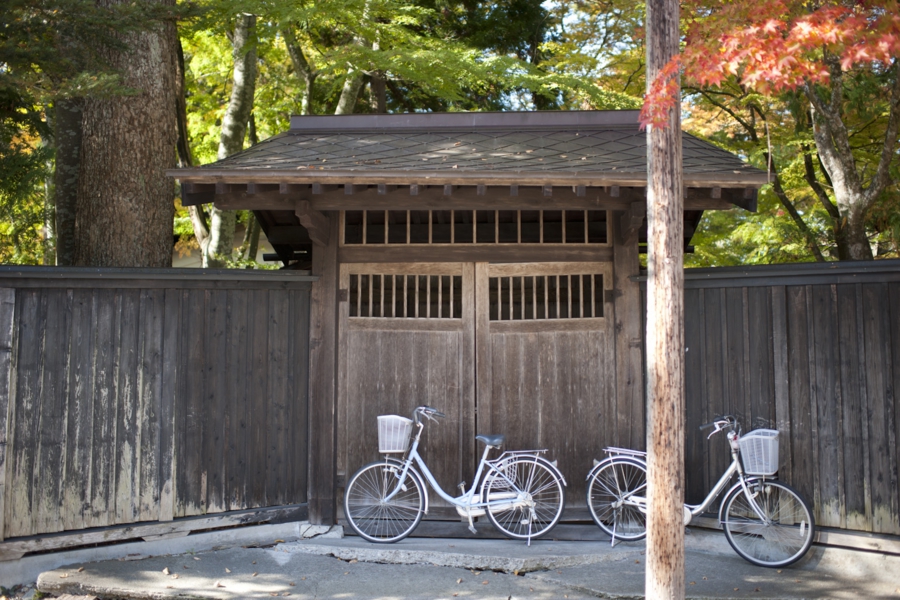 akita_033.jpg
