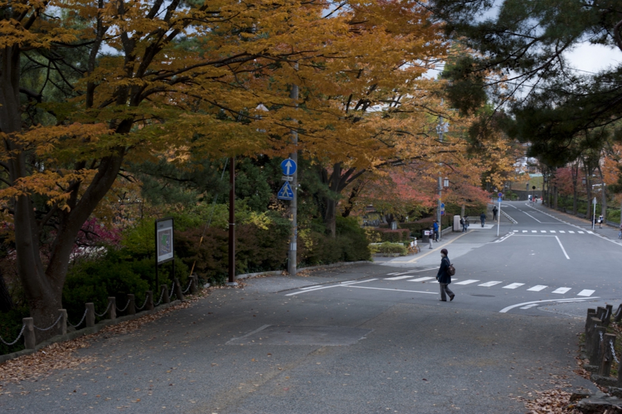 akita_035.jpg