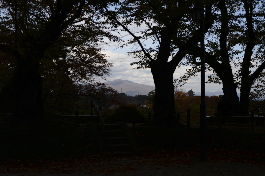 akita_041.jpg