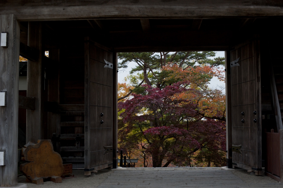 akita_043.jpg