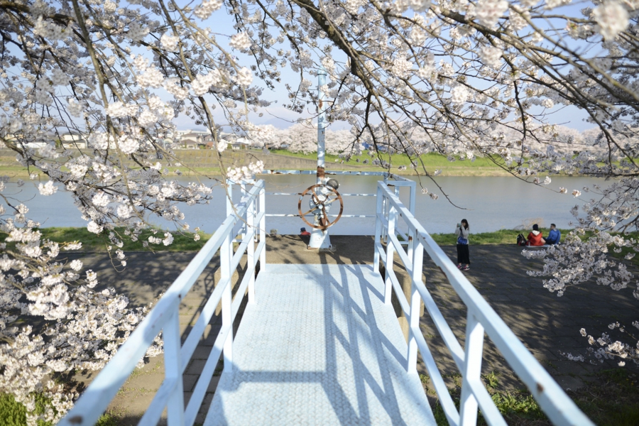 20170416_005.jpg