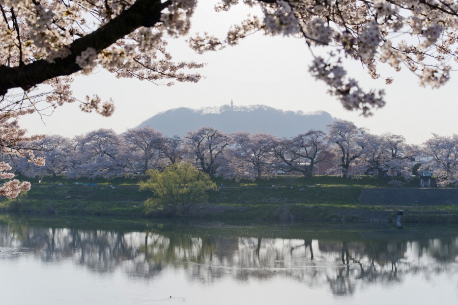 20170416_019.jpg