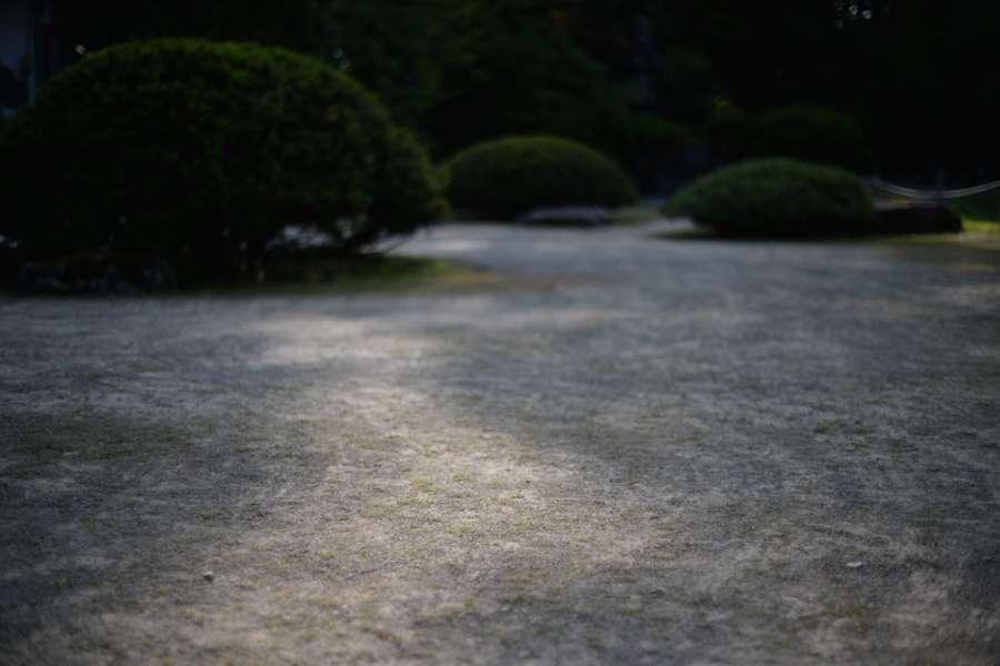 01hirakawa_010.jpg