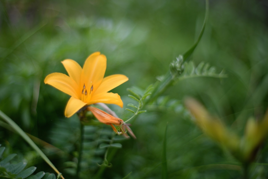 02tappi_016.jpg