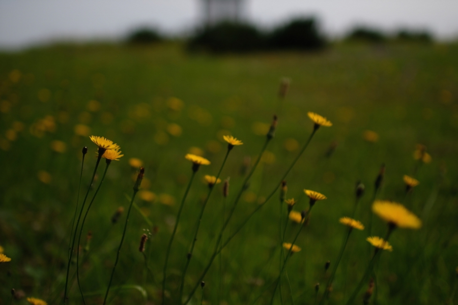 02tappi_023.jpg