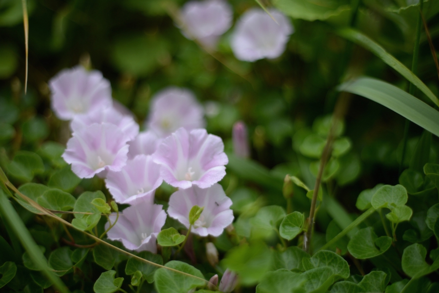 02tappi_028.jpg