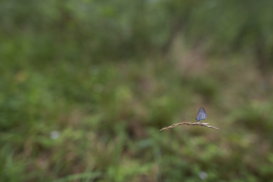 no_012.jpg