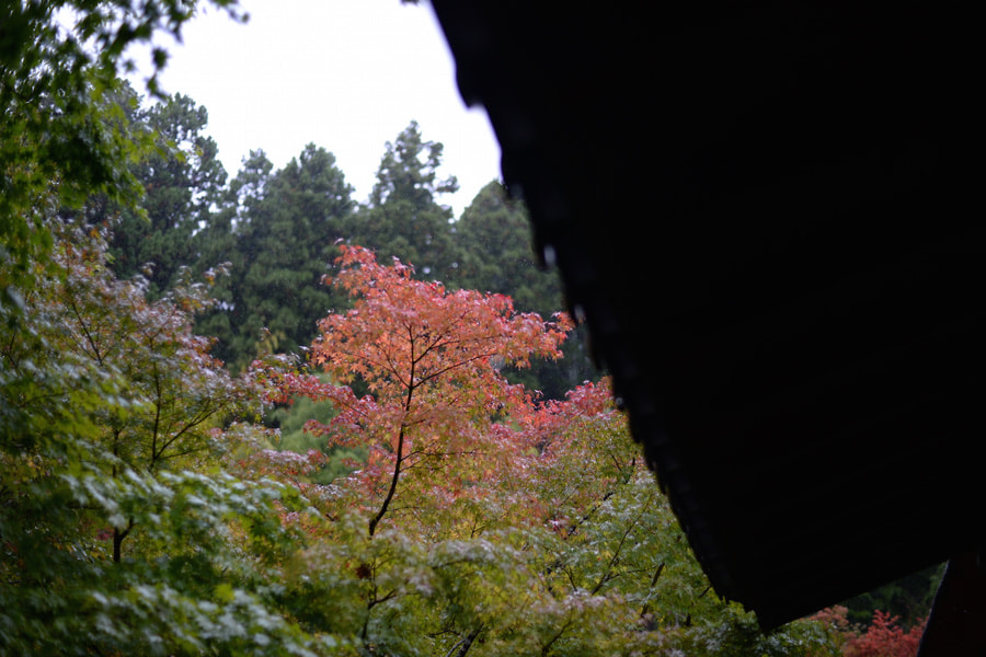 20171021_08.jpg
