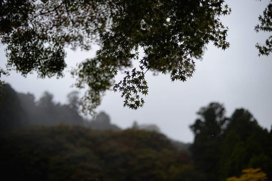 20171021_38.jpg