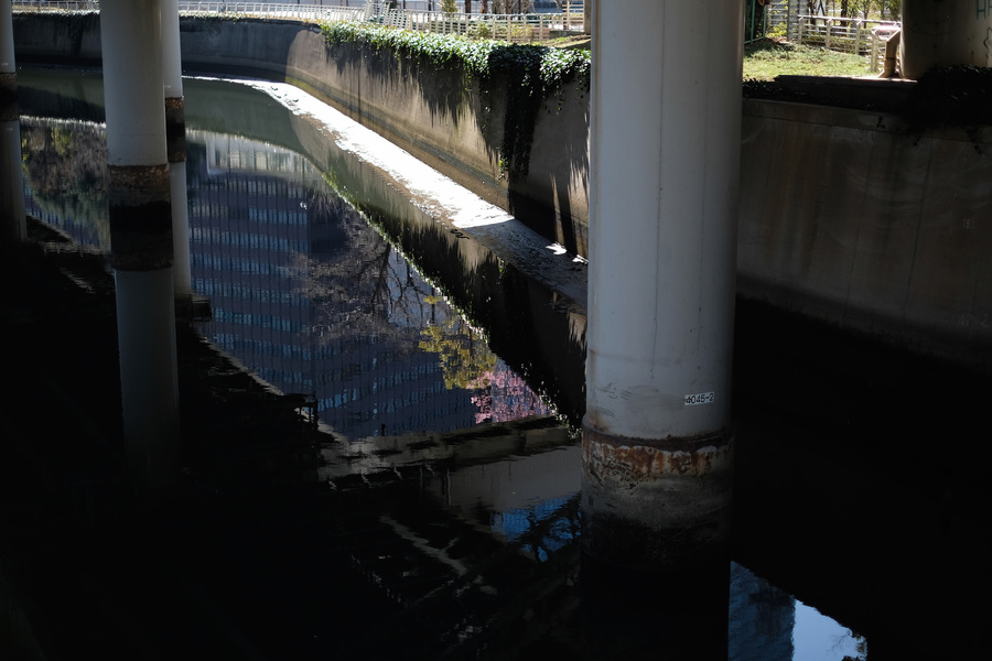 20180321_007.jpg