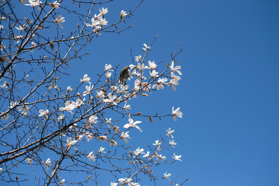 20180321_008.jpg