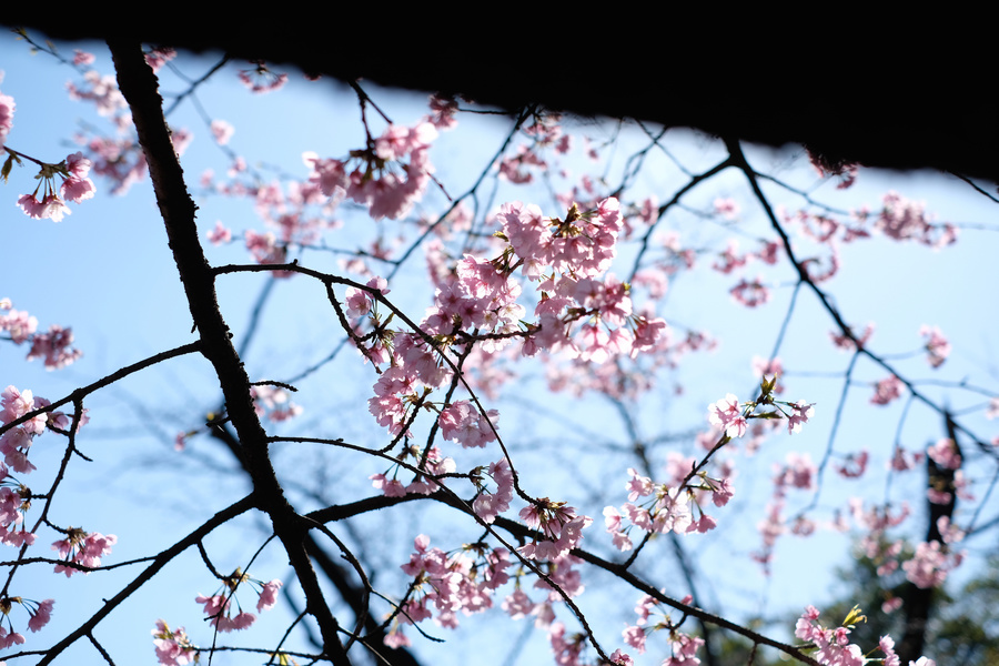 20180321_010.jpg