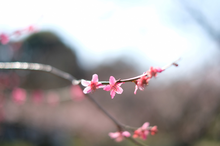 20180321_018.jpg