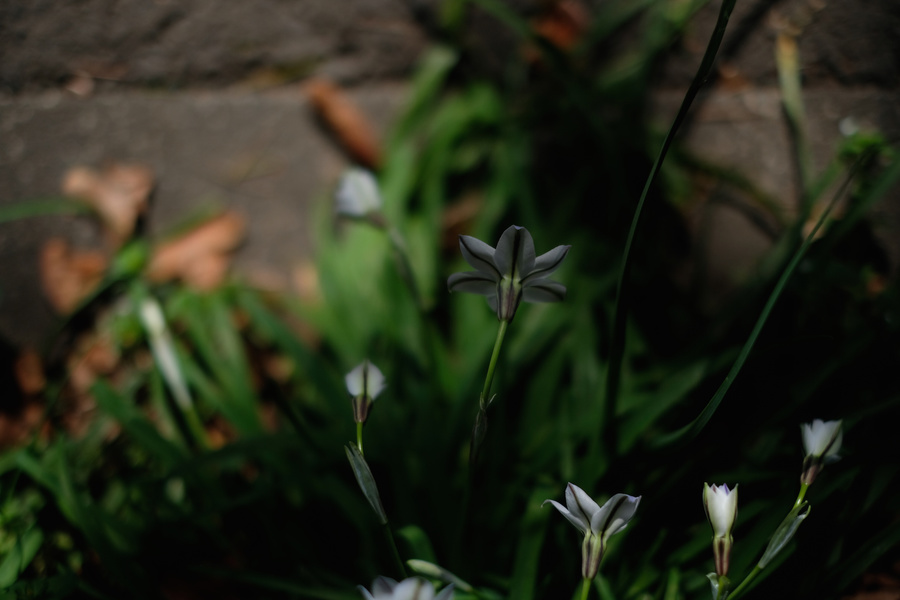 20180321_019.jpg