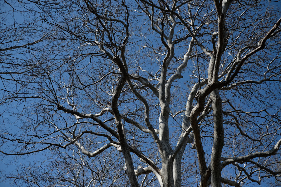 20180321_021.jpg