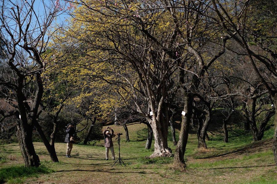 20180321_023.jpg