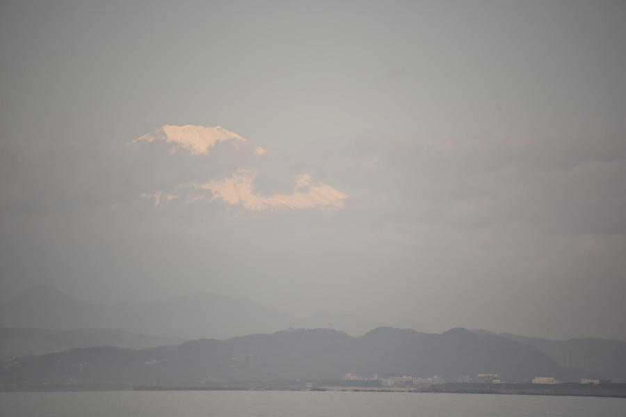 20180321_049.jpg