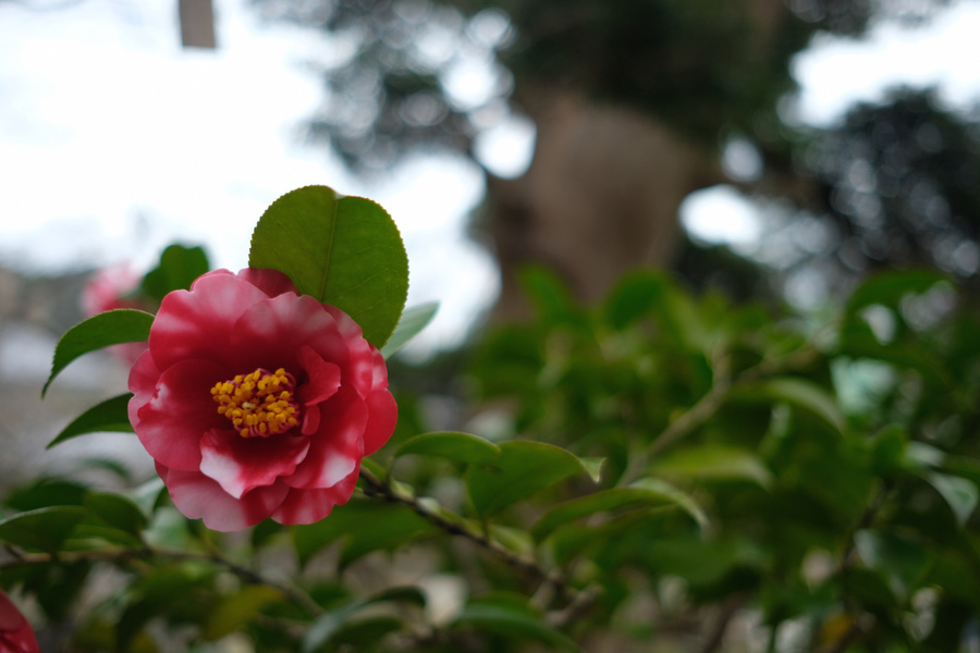 20180321_052.jpg
