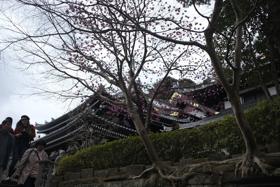 20180321_053.jpg