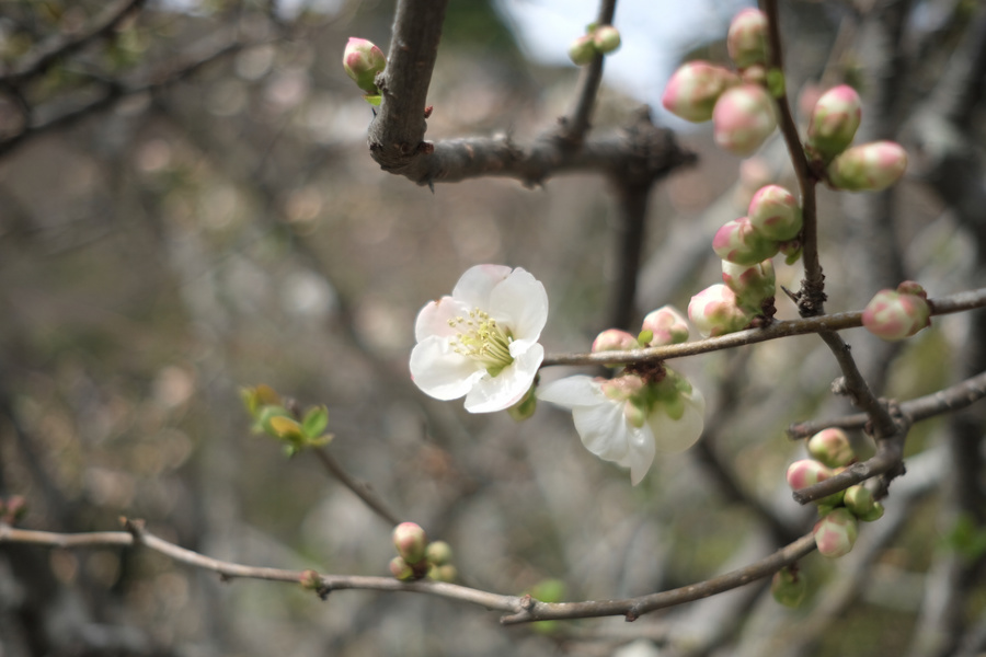 20180321_061.jpg