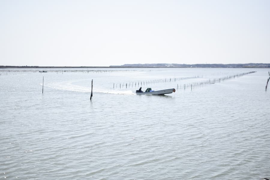 dsc_0379.jpg