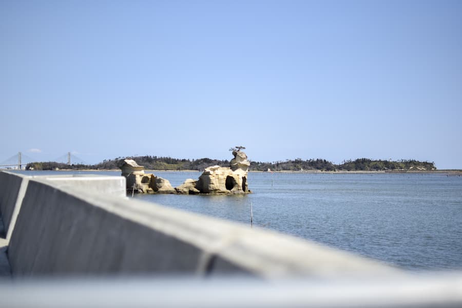 dsc_0376.jpg